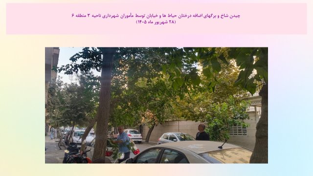 slide221